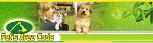 Pet's Area Code in Miami