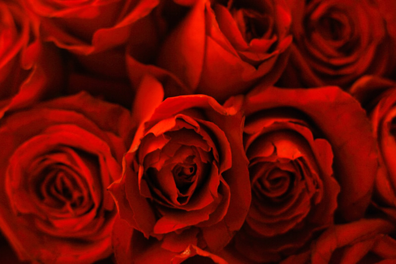 temperature controlled warehousing