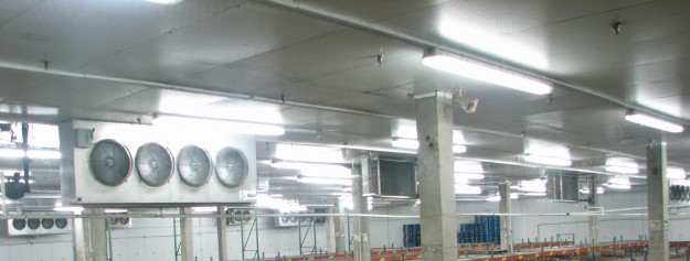 refrigerated-warehouse-in-miami