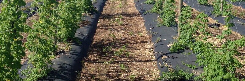 redlands 95 acres for sale comreal