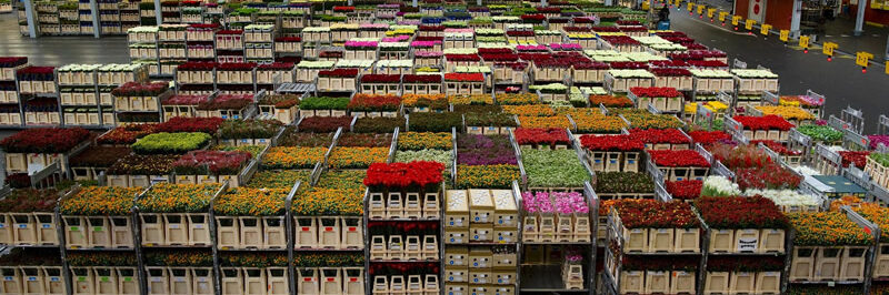 cold storage facility Temperature controlled warehouses are located all over the world.