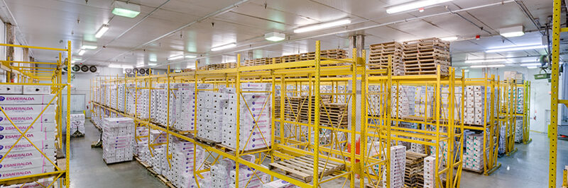 ComReal Sold 1800 NW 89th Place AGP Building